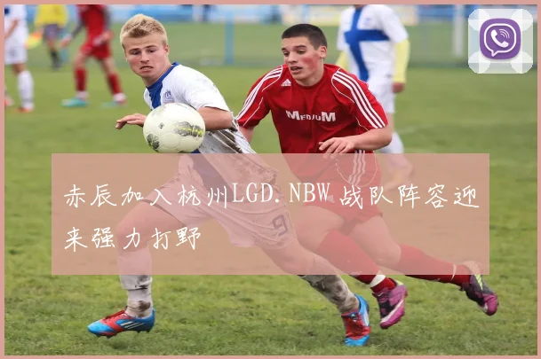 赤辰加入杭州LGD.NBW 战队阵容迎来强力打野